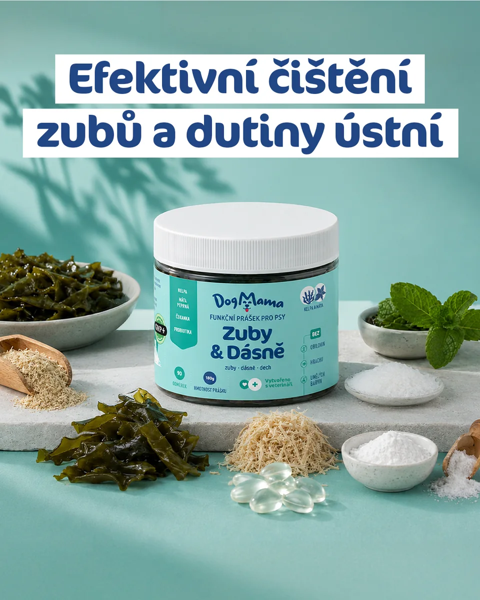 DogMama-Produkt für Zähne und Zahnfleisch